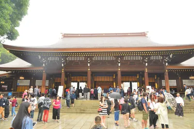 DSC_3308 (Large).JPG